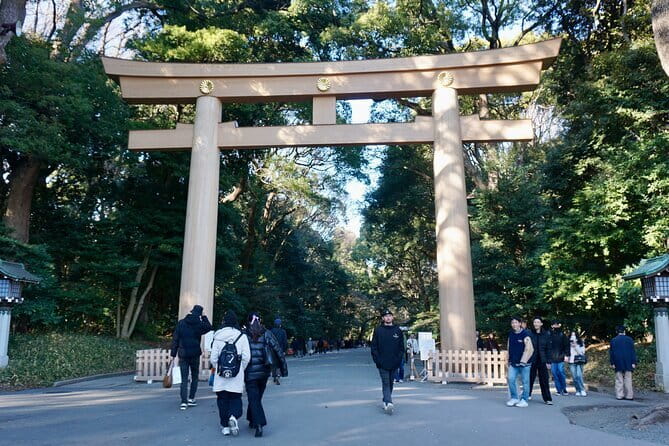 Tokyo Morning Tour : Meiji Shrine, Asakusa and Fish Market - Who should book this Tokyo morning tour?