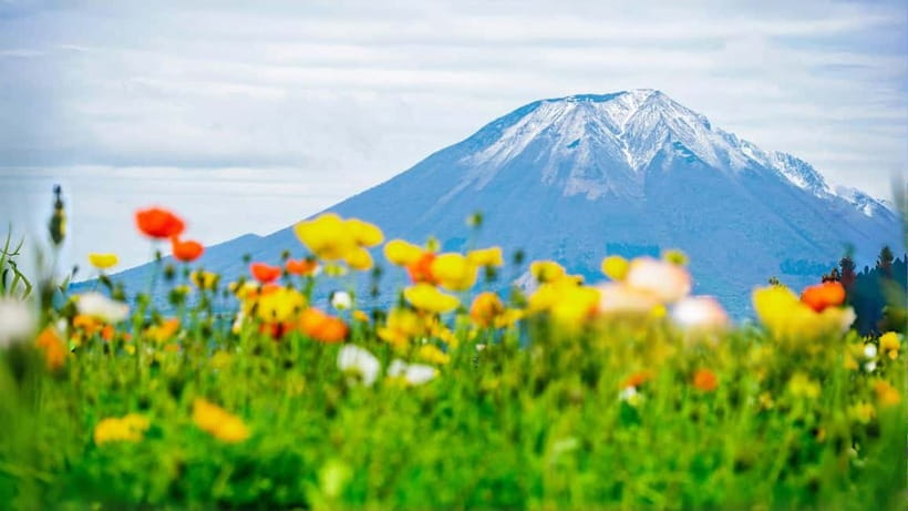 Tokyo: Mount Fuji 5th Station & Onsen Day Trip - Key points at a glance