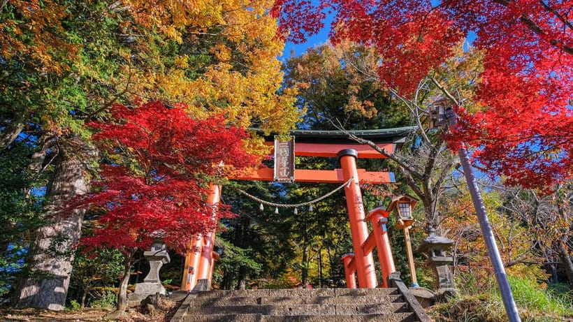 Tokyo: Mount Fuji 5th Station & Onsen Day Trip - Gotemba Premium Outlets as the alternate stop