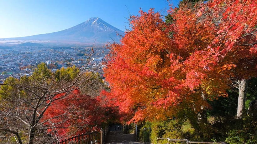 Tokyo: Mount Fuji 5th Station & Onsen Day Trip - Is $50 a fair price?