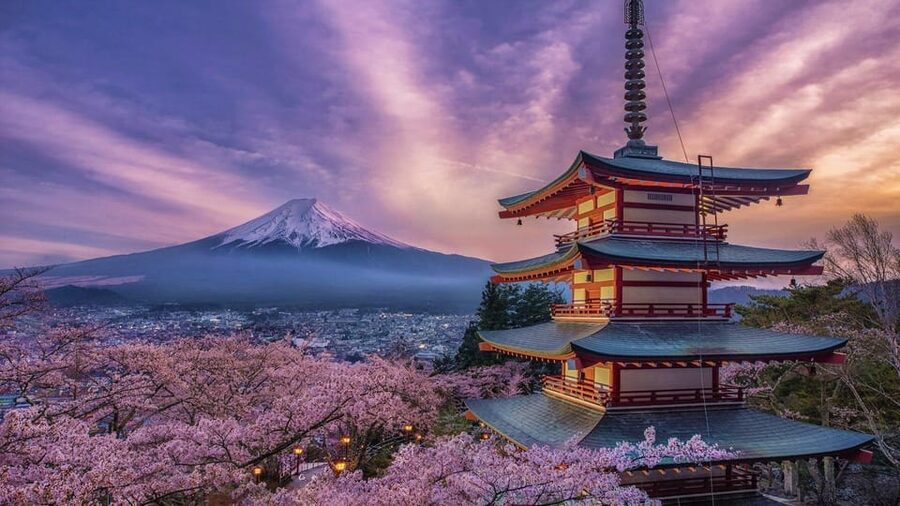 Tokyo: Mount Fuji and Hakone Private Sightseeing Day Tour - Key points before you book