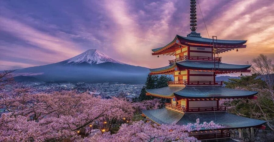 Tokyo: Mount Fuji and Hakone Private Sightseeing Day Tour - Kitaguchi Hongu Fuji Sengen Shrine and the old cedar approach