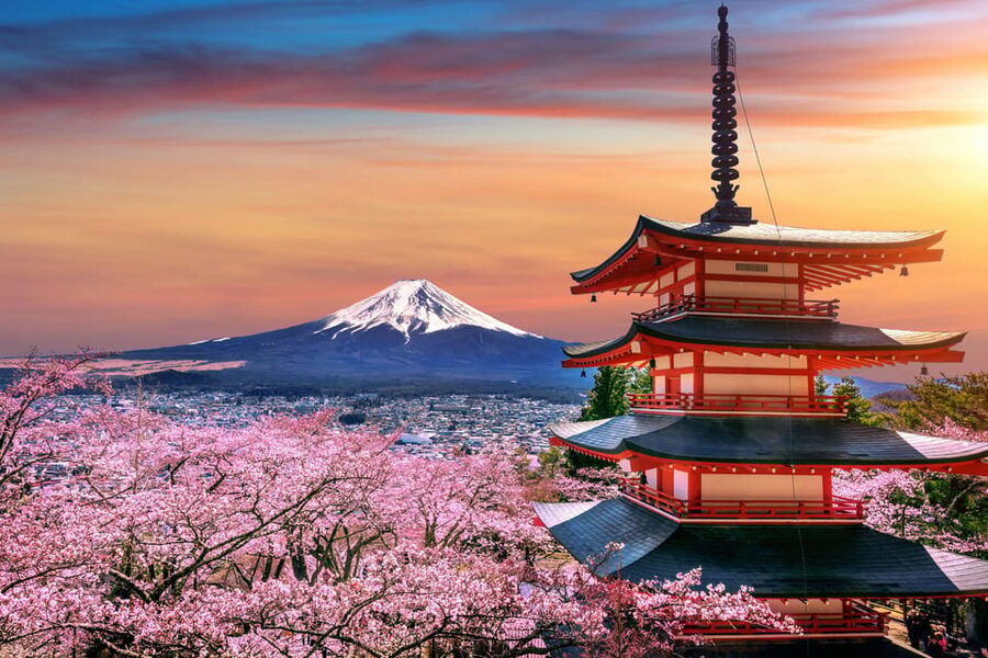 Tokyo: Mount Fuji and Hakone Private Sightseeing Day Trip - Key points at a glance