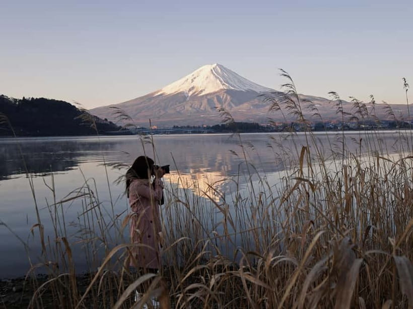Tokyo: Mount Fuji and Hakone Private Sightseeing Day Trip - The Hakone route: ropeway, Lake Ashi, and outdoor art