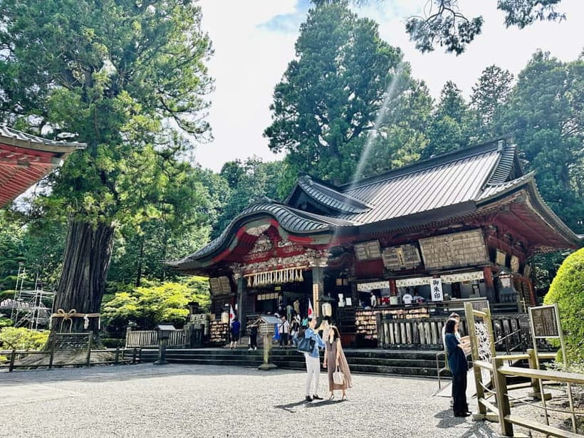 Tokyo: Mount Fuji and Hakone Private Sightseeing Day Trip - Should you book the Tokyo private Fuji and Hakone trip?