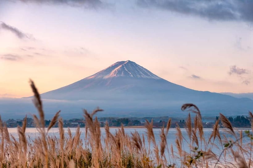 Tokyo: Mount Fuji and Hakone Private Sightseeing Day Trip - The Mount Fuji route: shrines, lakes, and classic views