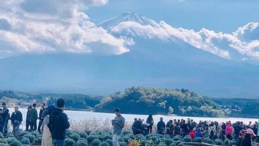 Tokyo: Mount Fuji Day Trip By English Speaking Driver - Why the private format is useful