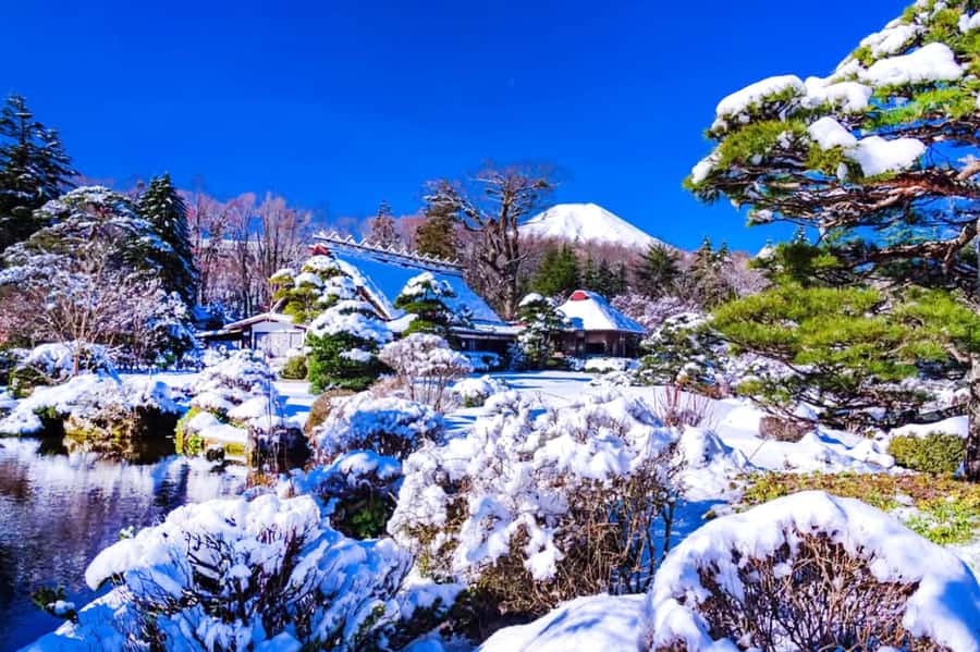Tokyo: Mount Fuji Day Trip with Scenic & Local Stops - What to pack for a better day