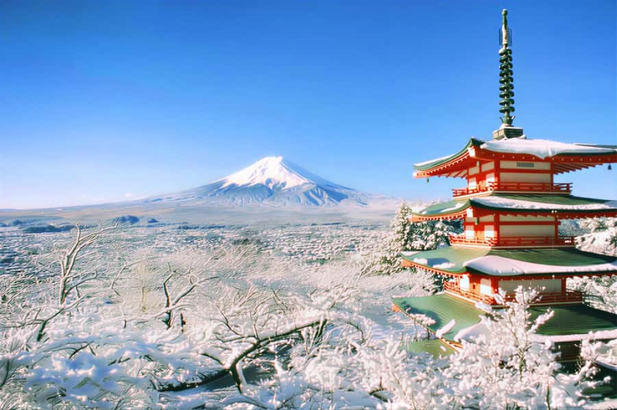 Tokyo: Mount Fuji Day Trip with Scenic & Local Stops - Why this Fuji day trip works from Tokyo