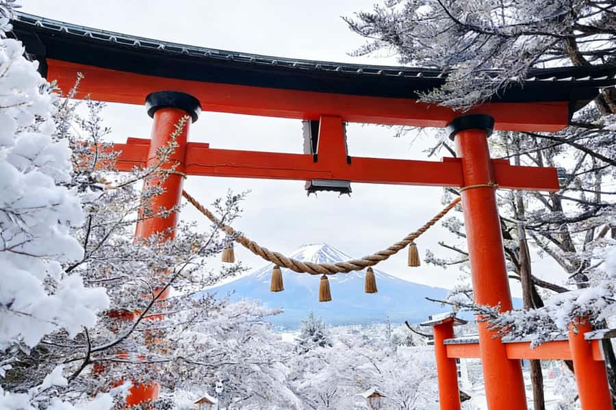 Tokyo: Mount Fuji Day Trip with Scenic & Local Stops - Hikawa Clock Shop and Fuji above the rooftops