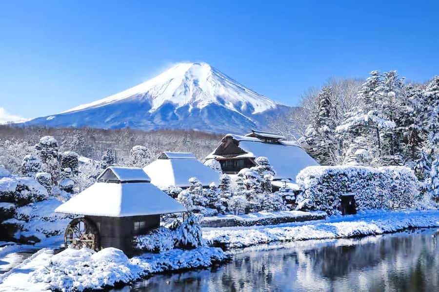 Tokyo: Mount Fuji Day Trip with Scenic & Local Stops - Oshino Hakkai, clear springs and village details