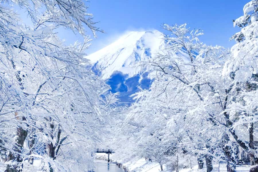 Tokyo: Mount Fuji Day Trip with Scenic & Local Stops - Lake Kawaguchi, the day’s best all-around Fuji stop