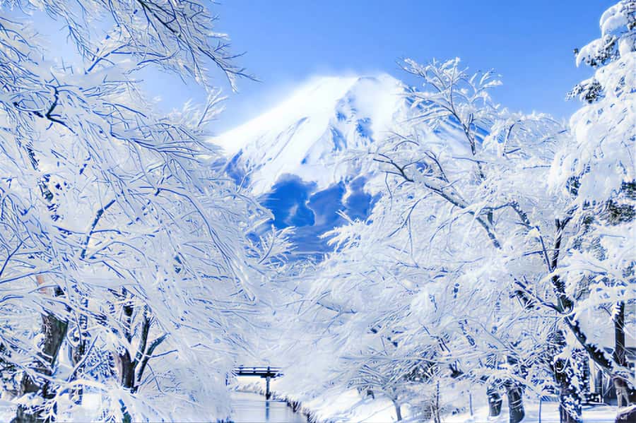 Tokyo: Mount Fuji Day Trip with Scenic & Local Stops - Fuji Lawson, an ordinary stop with an iconic backdrop