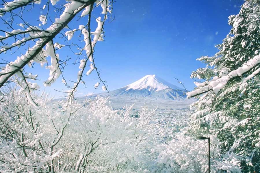 Tokyo: Mount Fuji Day Trip with Scenic & Local Stops - Niikurayama Asama Park and the classic pagoda view