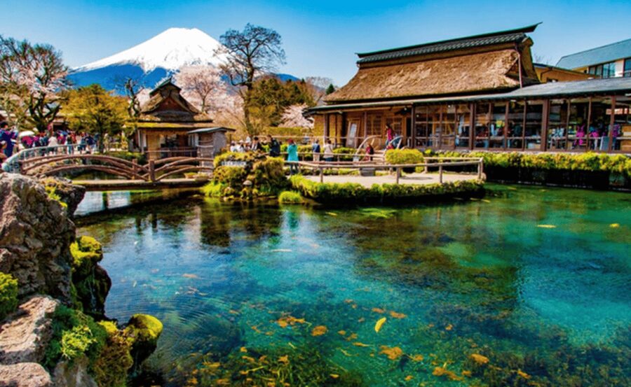 Tokyo:Mount Fuji ,Hakone & Lake Ashi Cruise Trip with Lunch. - Lake Kawaguchi and Oishi Park