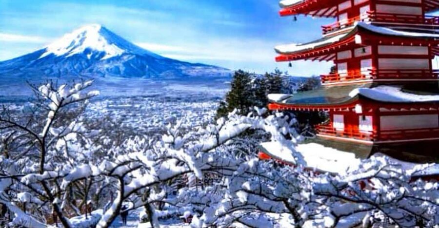 Tokyo: Mount Fuji & Hakone Private Customizable Day Tour - Mount Fuji viewpoints and the ¥2,100 entrance fee