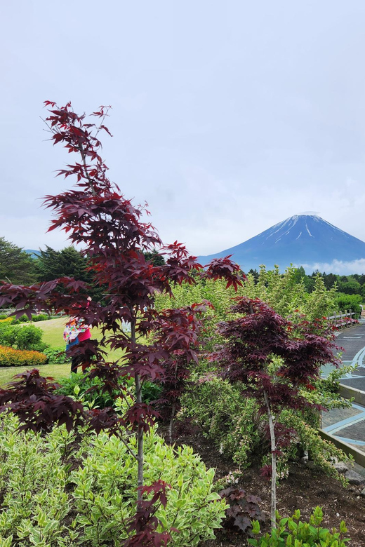 Tokyo: Mount Fuji & Hakone Private Customizable Day Tour - Arakura Fuji Sengen Shrine and Chureito Pagoda