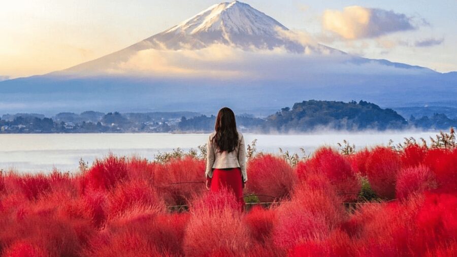 Tokyo: Mount Fuji & Hakone Private Customizable Day Tour - The long ride from Tokyo to Mount Fuji