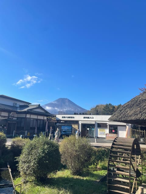 Tokyo: Mount fuji & Hakone Private Day Tour - Key points to know before booking
