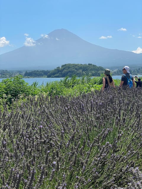 Tokyo: Mount fuji & Hakone Private Day Tour - Arakurayama Sengen Park and the Chureito Pagoda view