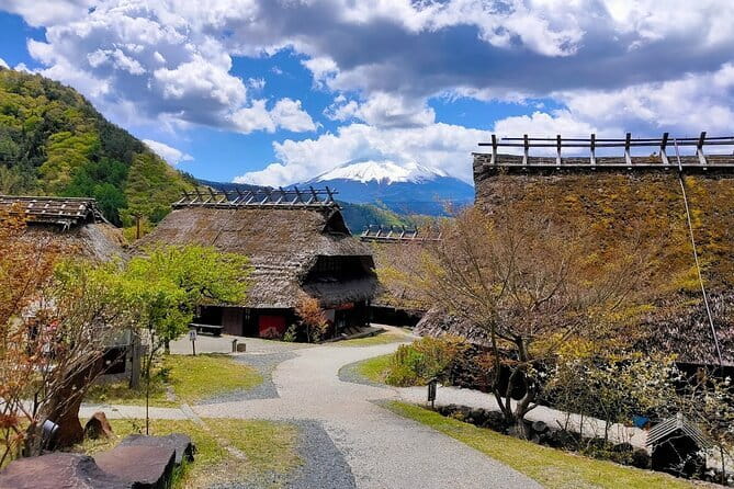 Tokyo: Mount Fuji Must-see Attractions One Day Sightseeing Tour - What the $60 Mount Fuji day trip really gives you