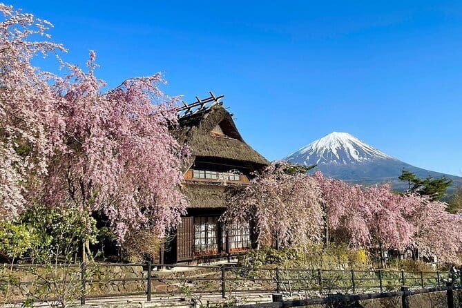 Tokyo: Mount Fuji Must-see Attractions One Day Sightseeing Tour - Guides, commentary, and the pace of the coach