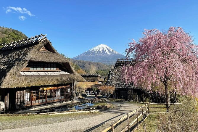 Tokyo: Mount Fuji Must-see Attractions One Day Sightseeing Tour - Saiko Iyashi no Sato Nemba and its thatched roofs