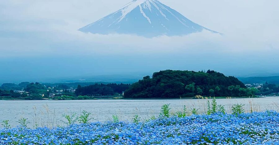 Tokyo: Mount Fuji Private Customized English Guided Tour - Guides, driving, and the human side