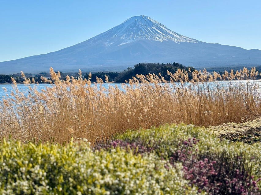 Tokyo: Mount Fuji Private Customized English Guided Tour - Chureito Pagoda and the famous Fuji view
