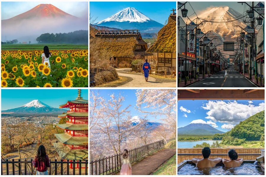 Tokyo: Mount Fuji Private Customized English Guided Tour - Narusawa Ice Cave and the forest area
