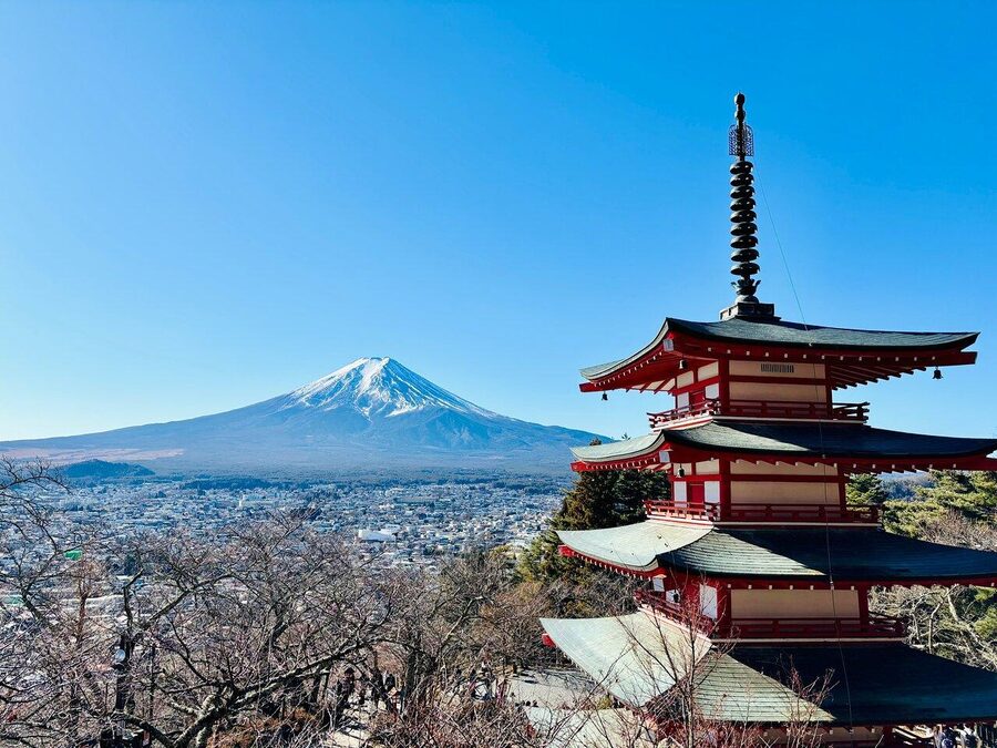 Tokyo: Mount Fuji Private Customized English Guided Tour - Choosing Fuji Five Lakes or Hakone