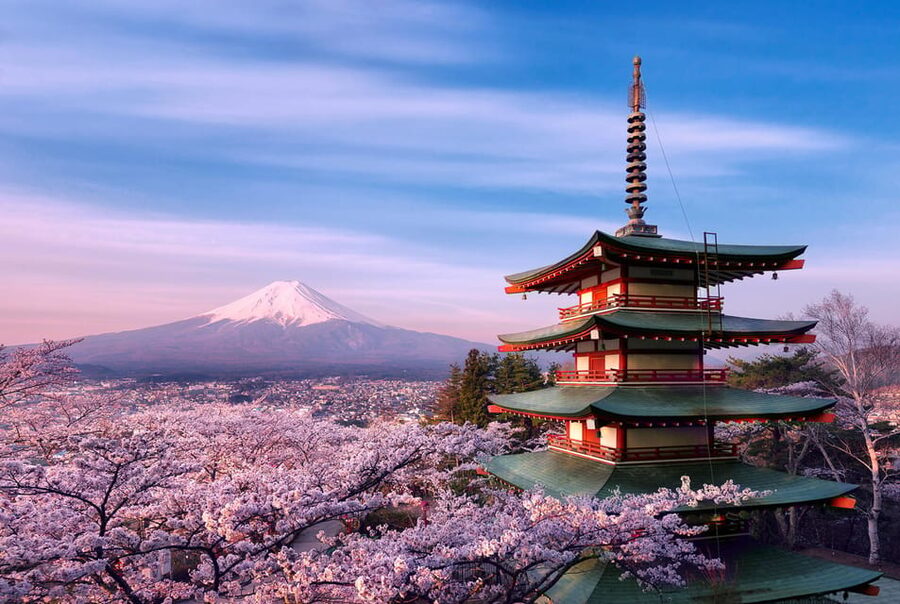 Tokyo: Mount Fuji Private Full-Day Trip with Hotel Pickup - The ride to Fuji’s 5th Station