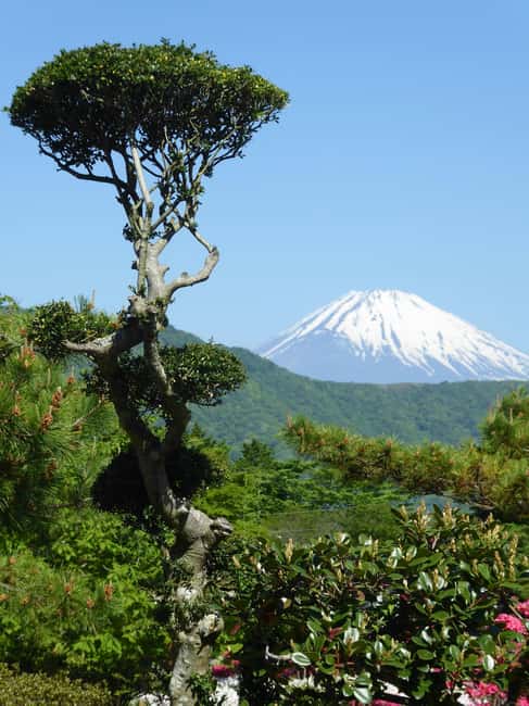 Tokyo: Mount Fuji Private Tour By Car With Hotel Pick Up - Guides, driving, and the day-to-day service
