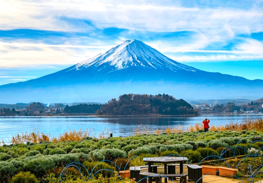 Tokyo: Mount Fuji Tour and Hakone Sakura Cherry Blossom Trip - Key points at a glance