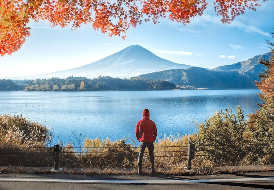 Tokyo: Mount Fuji Tour and Hakone Sakura Cherry Blossom Trip - What the $416 price really buys