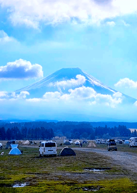 Tokyo: Mount Fuji Tour and Hakone Sakura Cherry Blossom Trip - Why this Fuji day trip works from Tokyo