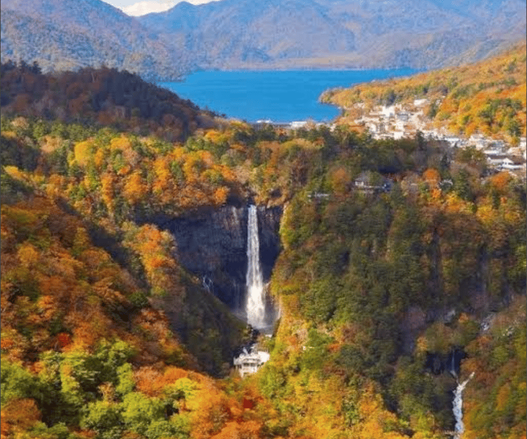 Tokyo: Mount Fuji Tour and Hakone Sakura Cherry Blossom Trip - Oshino Hakkai and its eight spring ponds