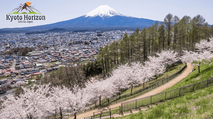 Tokyo: Mount Fuji Tour and Hakone Sakura Cherry Blossom Trip - Arakurayama Sengen Park and the pagoda view
