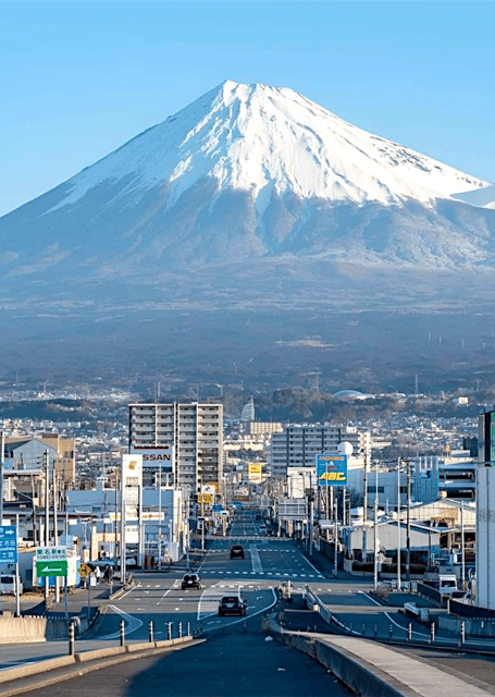 Tokyo: Mount Fuji Tour and Hakone Sakura Cherry Blossom Trip - Reaching Mt. Fuji’s 5th Station