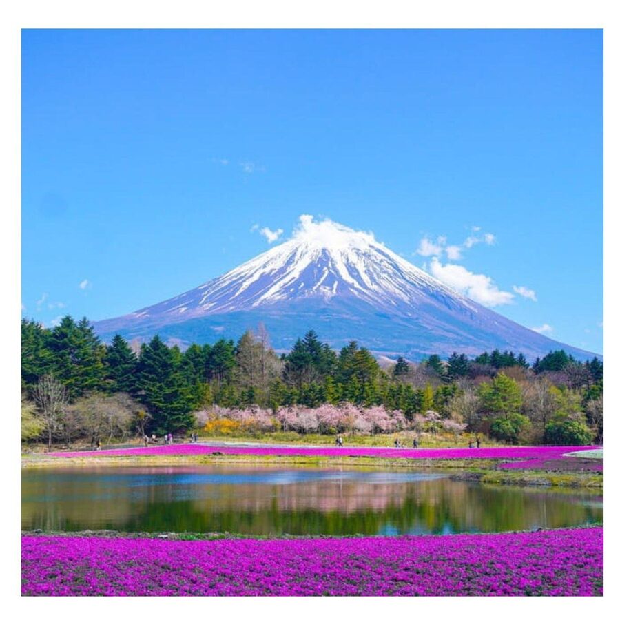 Tokyo: Mount Fuji Unmissbale Private Car Tour At Low Price - Lake Kawaguchiko and Oishi Park