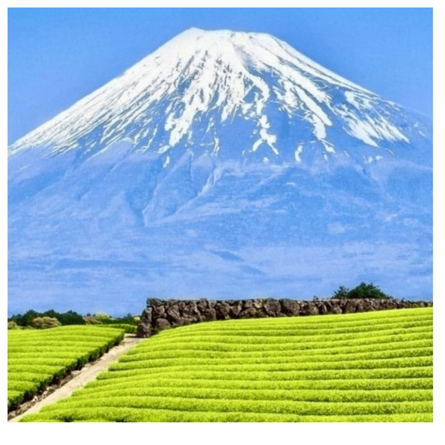 Tokyo: Mount Fuji Unmissbale Private Car Tour At Low Price - Chureito Pagoda and Arakurayama Sengen Park