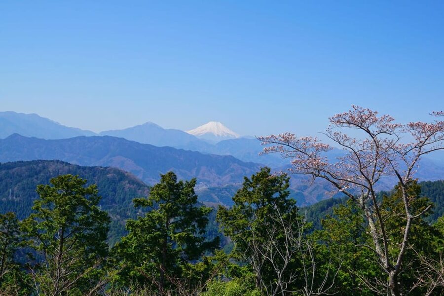 Tokyo: Mount Takao Guided Hiking Tour - From Shinjuku to the foothills of Mount Takao