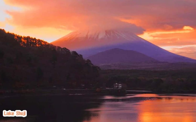 Tokyo: Mt Fuji 3 Lakes Day Trip | 9-Guest Small Group - Returning to Tokyo by about 6:00 PM