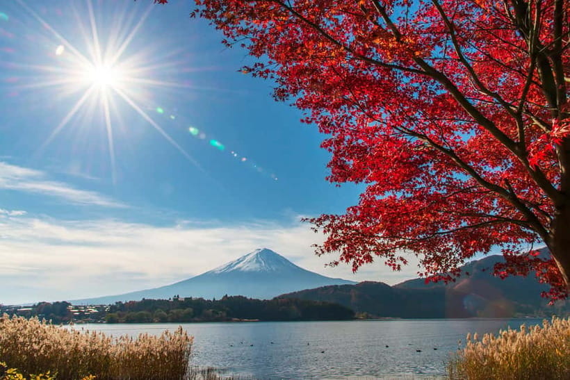 Tokyo: Mt. Fuji 5th St. & Hakushu Distillery Whisky Museum - Why this Tokyo day trip has an unusual shape