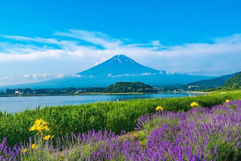 Tokyo: Mt. Fuji 5th St. & Hakushu Distillery Whisky Museum - Should you book the Mt. Fuji and Hakushu day trip?