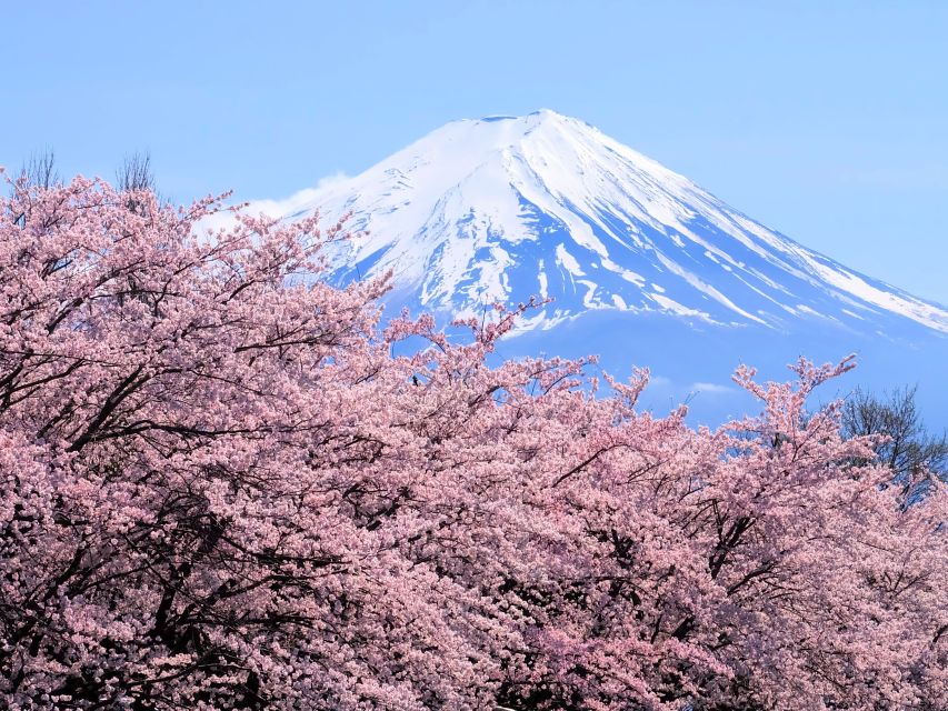 Tokyo: Mt. Fuji 5th Station & Hakone Cruise 1-Day Bus Tour - Why this Tokyo day trip works