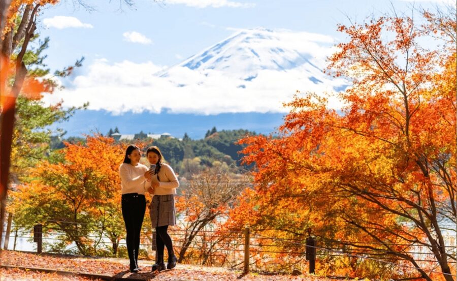 Tokyo: Mt. Fuji and Hakone tour with English Speaking Driver - A private Fuji day with a lot packed in