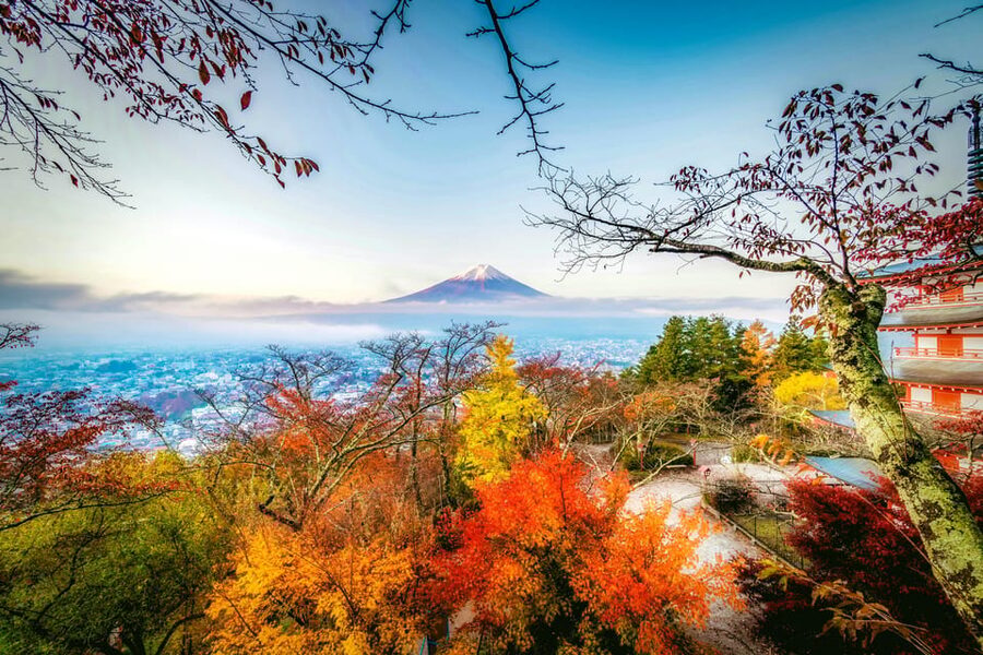 Tokyo: Mt. Fuji and Hakone tour with English Speaking Driver - How much the $462 price buys you