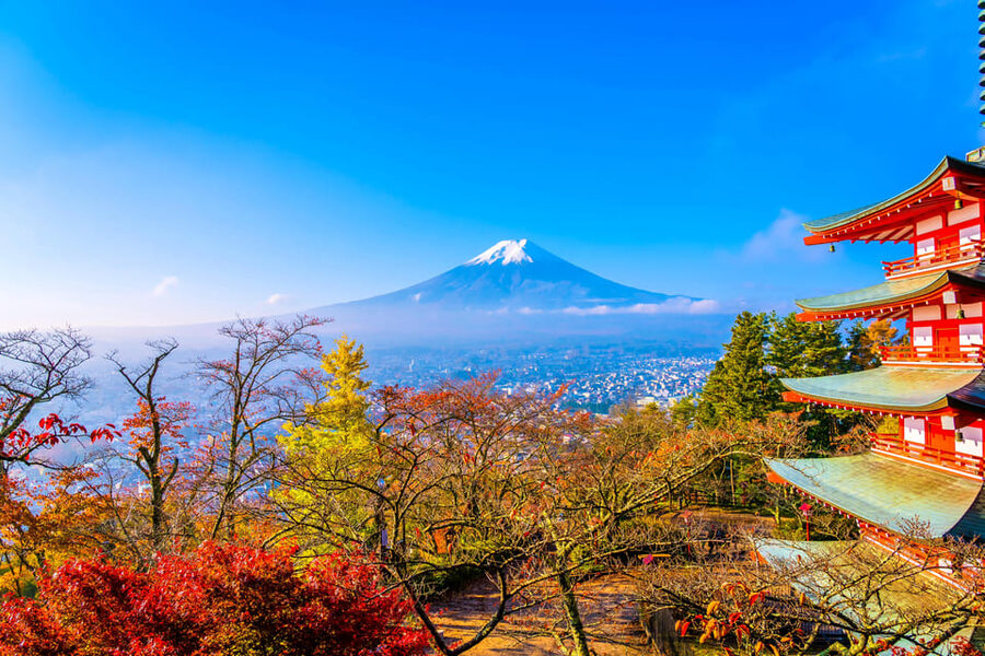 Tokyo: Mt. Fuji and Hakone tour with English Speaking Driver - Adding Hakone Ropeway and Lake Ashi