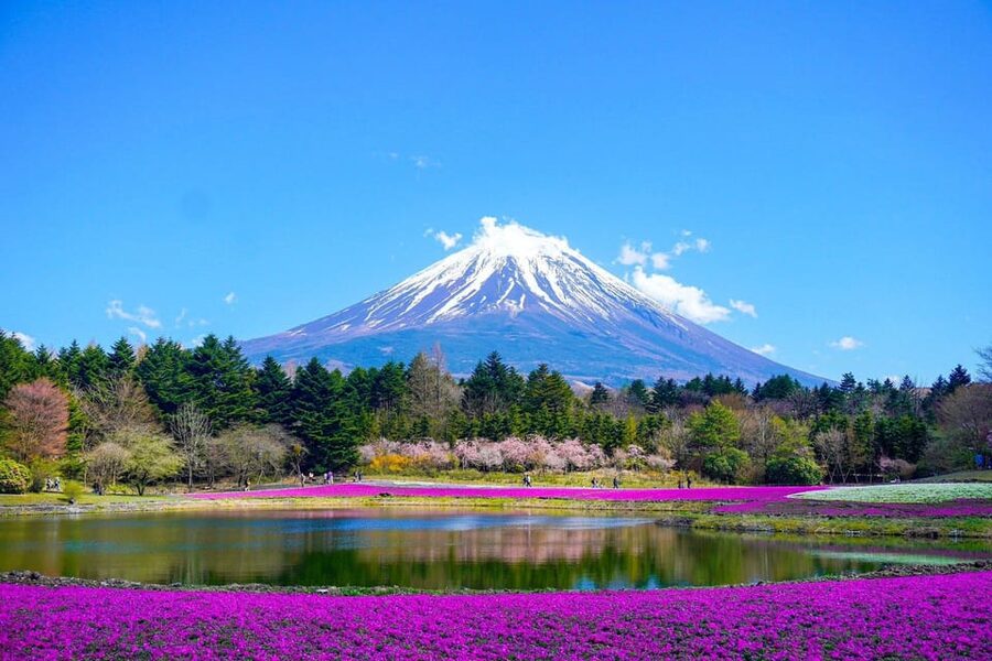 Tokyo: Mt. Fuji and Hakone tour with English Speaking Driver - Ninja Village and Gotemba shopping